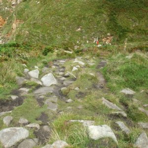 Descending the cliff to Portheras Cove (17th Aug., 2009)