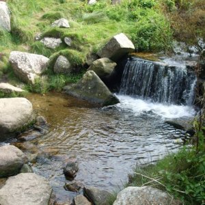 The stream, Portheras Cove, near Pendeen Watch - 17th Aug., 2009 -