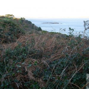 Raginnis to Slynke Dean - View of distant St Clement's Isle - 8th Nov., 200