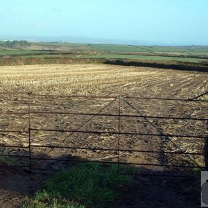 View across field from Sancreed's Beacon Estate