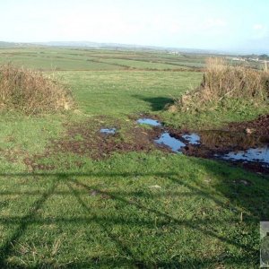 View across field from Sancreed's Beacon Estate