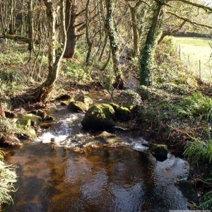 Stream in valley just before Sancreed