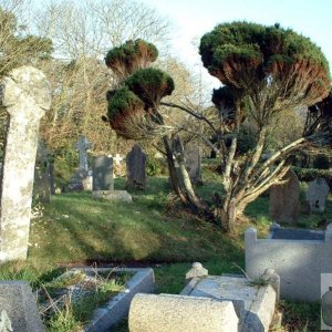 Sancreed Churchyard and leaning Celtic Cross