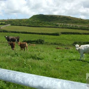 Tregeseal - 16th June, 2009