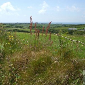 Tregeseal - 16th June, 2009