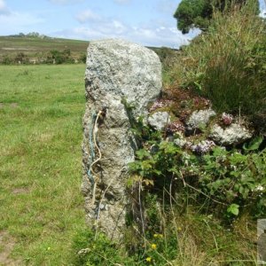 Tregeseal - 16th June, 2009