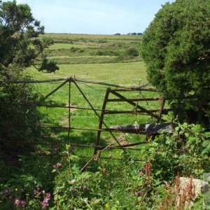 Tregeseal - 16th June, 2009