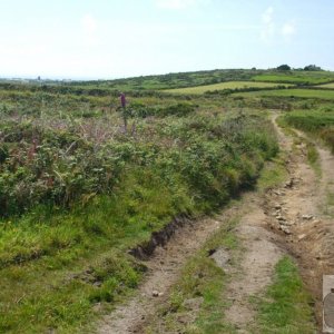 Tregeseal - 16th June, 2009