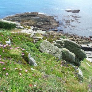 St Michael's Mount.