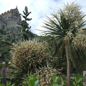 St Michael's Mount