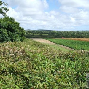 Across the main road at Whitecross - The View Eastward to Godolphin and Tre