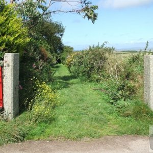 A pleasant grassy drive at Trencrom village