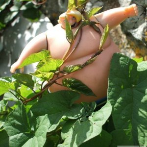 This Trencrom artist opportunely sets up a strange doll with bindweed and l