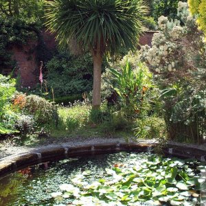 Trengwainton Gardens