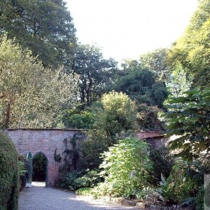 Trengwainton Gardens