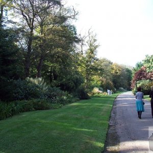 Trengwainton Gardens