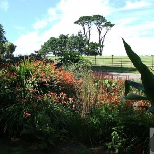 Trengwainton Gardens