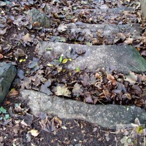 Treneere Barton - steps