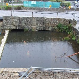 Lariggan Brook Outfall - 11