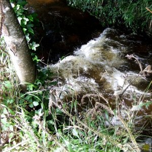 Ponsandane Brook - 2