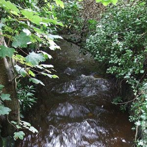 Ponsandane Brook - 1