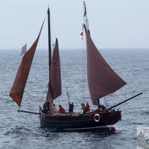 Maritime Festival - 65