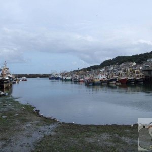 Newlyn low tide 2006