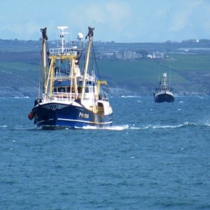 Queue in the Bay