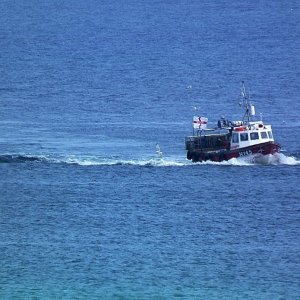 Bussed - 12