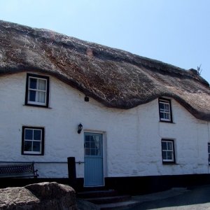 Sennen - 12