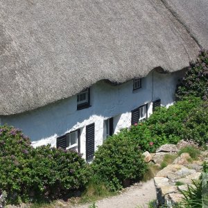 Sennen - 16