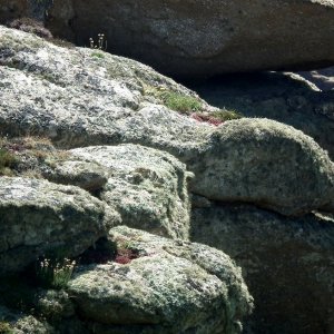 Sennen - 29