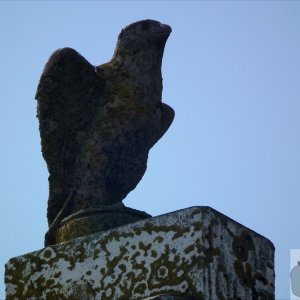 The Land's End - 05