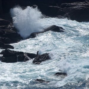 The Land's End - 37