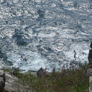 The Land's End - 43