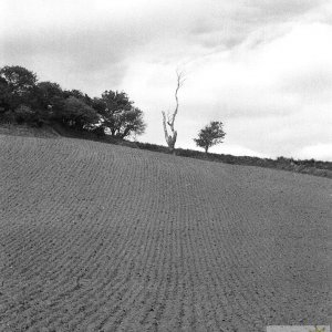 Trannack Furrows