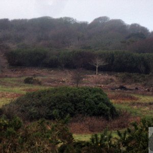 Madron Carn view