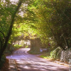 Autumn in the Penzance area