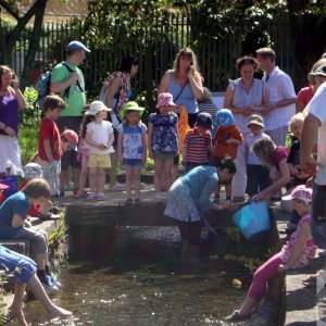 Alverton School Annual Duck Race 2