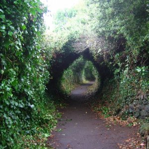 Creeping Lane