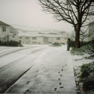 Snowy Pendennis