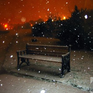 Snow Bench