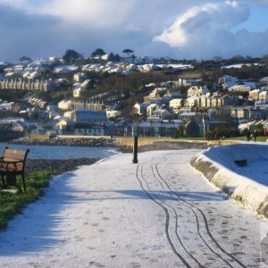 Newlyn Snow