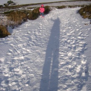 Snow Shadow