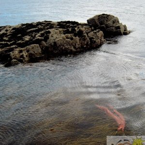 Rocks 6