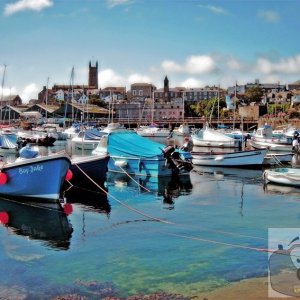 Harbour Boats