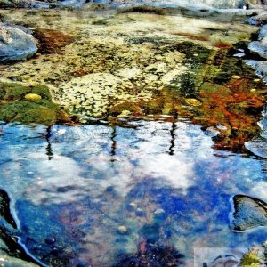 Rock Pool 005