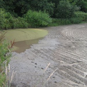 Muddy field