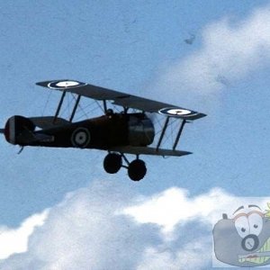 Replica Sopwith