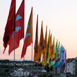 Golowan flags 2009